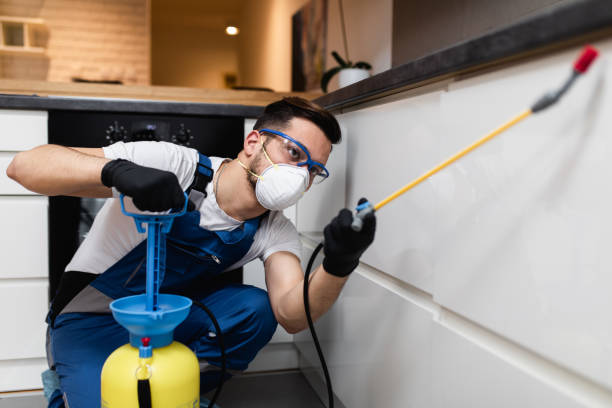 Best Emergency Pest Control  in Lipscom, AL