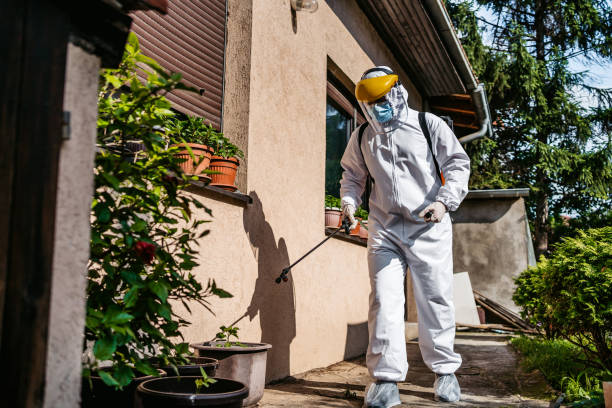 Best Insect Control  in Lipscom, AL