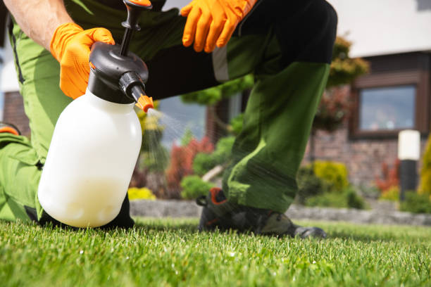 Best Local Pest Control Services  in Lipscom, AL