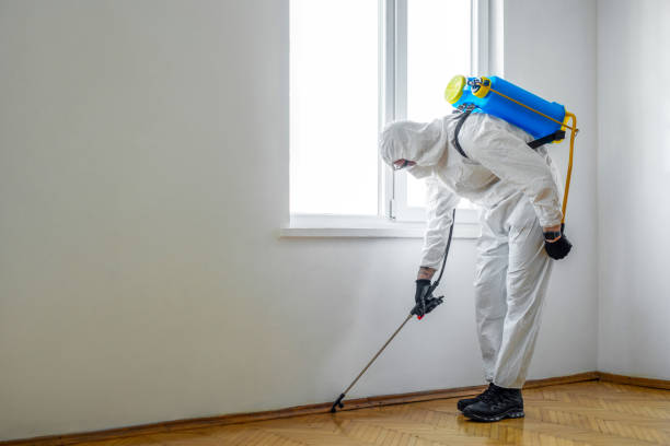 Best Wildlife Control Services  in Lipscom, AL