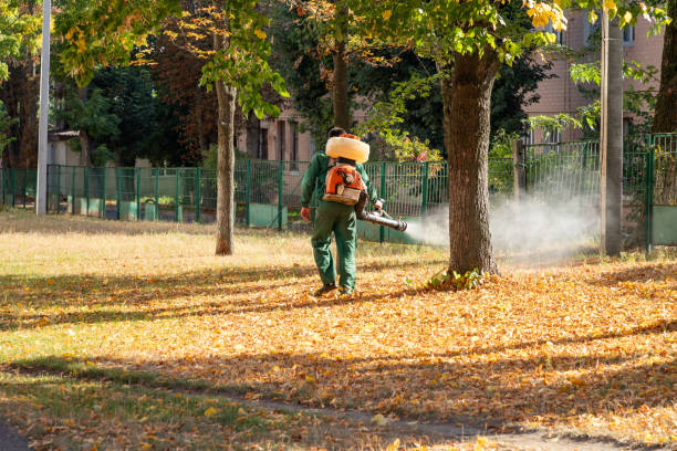 Best Best Pest Control Companies  in Lipscom, AL