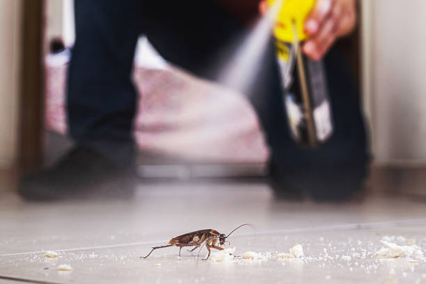 Best Emergency Pest Control  in Lipscom, AL
