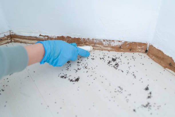 Best Exterminator Services  in Lipscom, AL