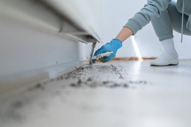 Best Mosquito Control Services  in Lipscom, AL